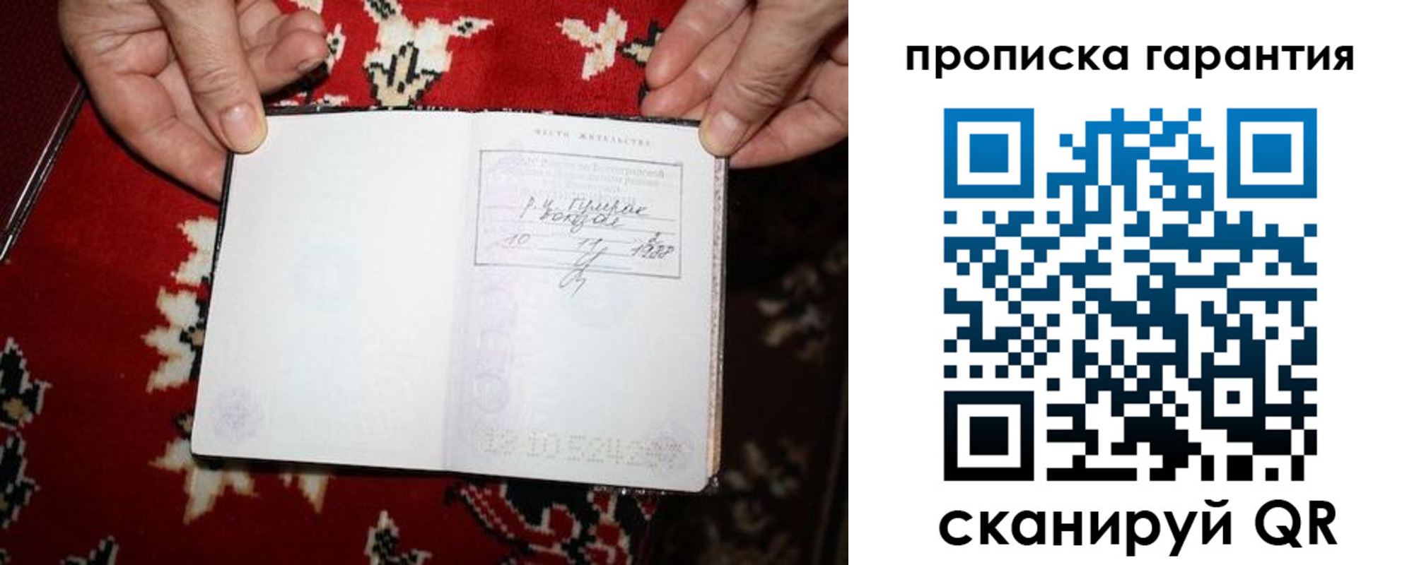 прописка гарантия в Шахунье